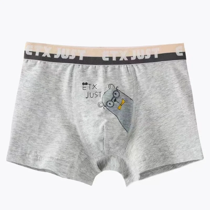 New Arrival Boys Boxer Underwear Cotton Breathable Panties for Toddler Baby Casual Children Soft Underpants 5pcs/lot 4 8 14Years