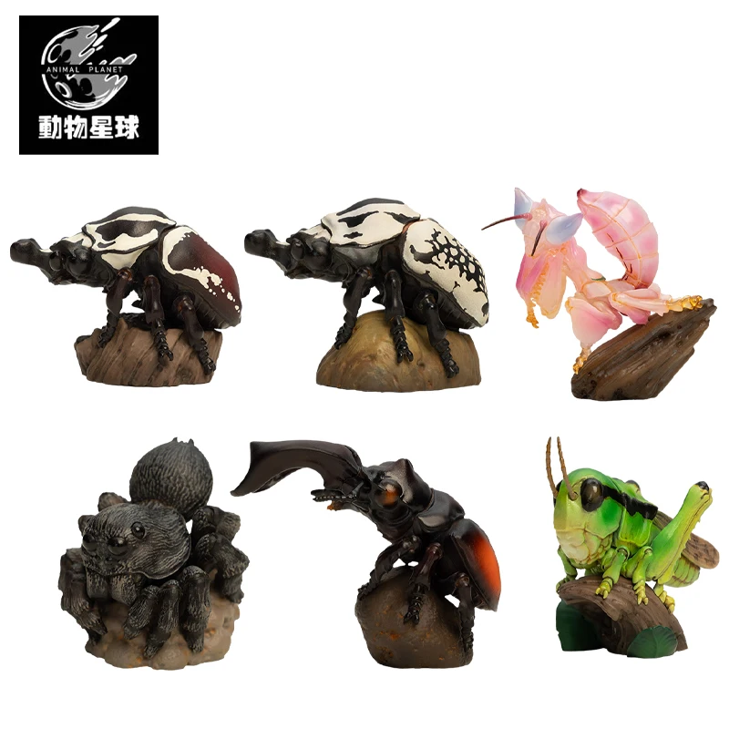 Животные планеты A Серия смех и рост толстые 11 лициса гигантская коронатус гексаартрит Parryi Goliathus Goliatus Acrididae