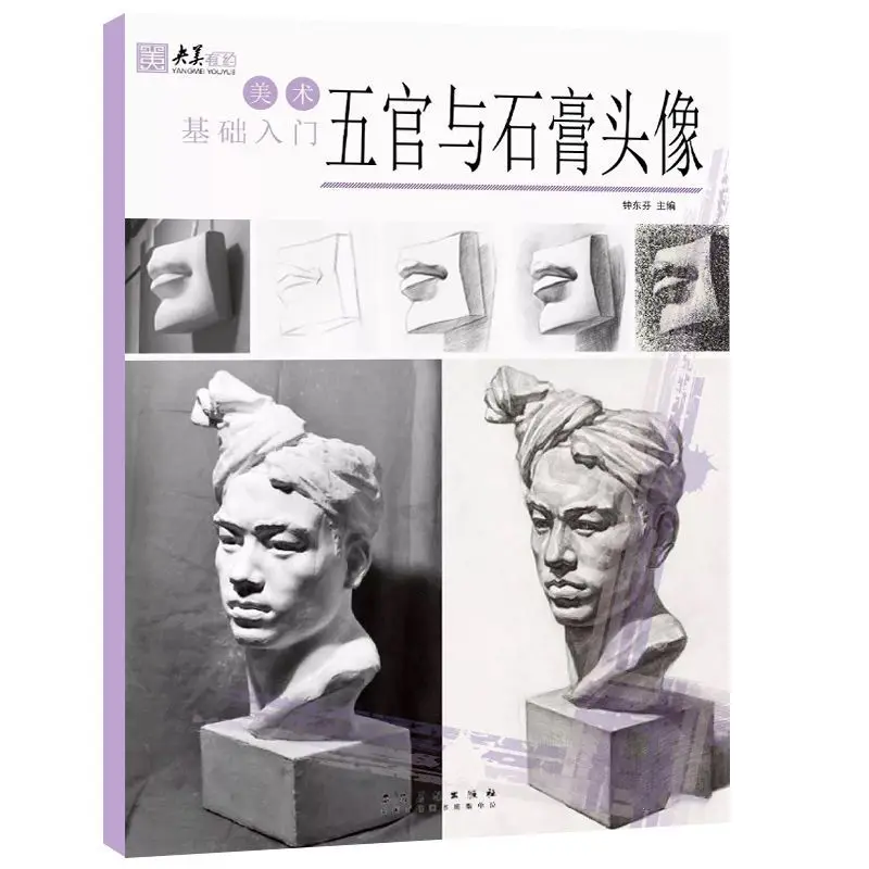 Introduction To The Basics Of Fine Arts, Five Senses And Plaster Heads, Yangmei Has About Zhong Dongfen To Edit Sketches