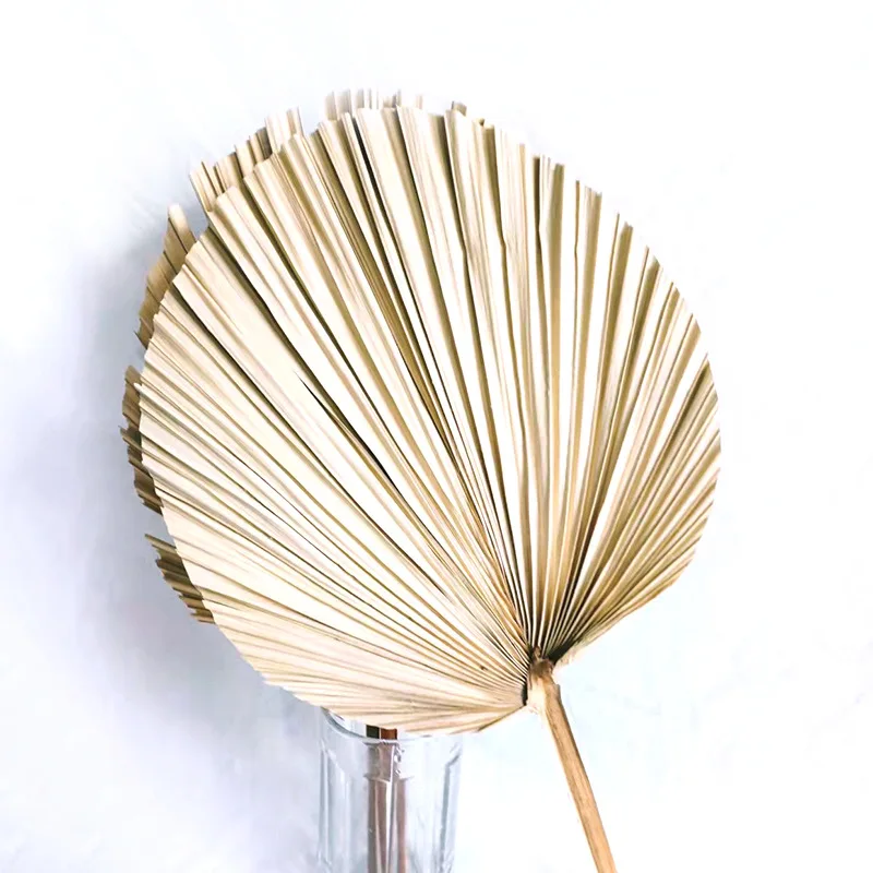 Источник производителей пальмовых листьев растительные сухие цветы ДИЙ праздничное украшение 3,19 доллара США.