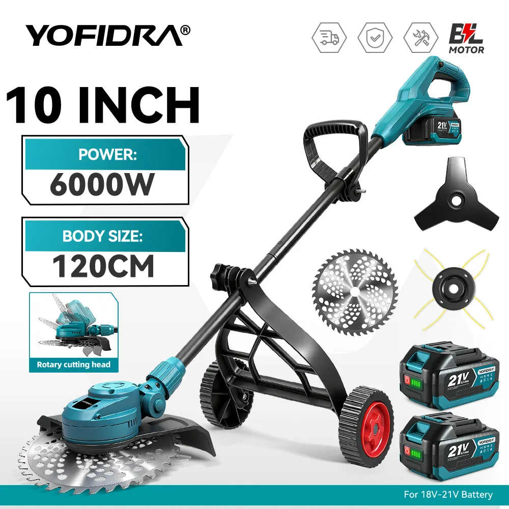Yofidra