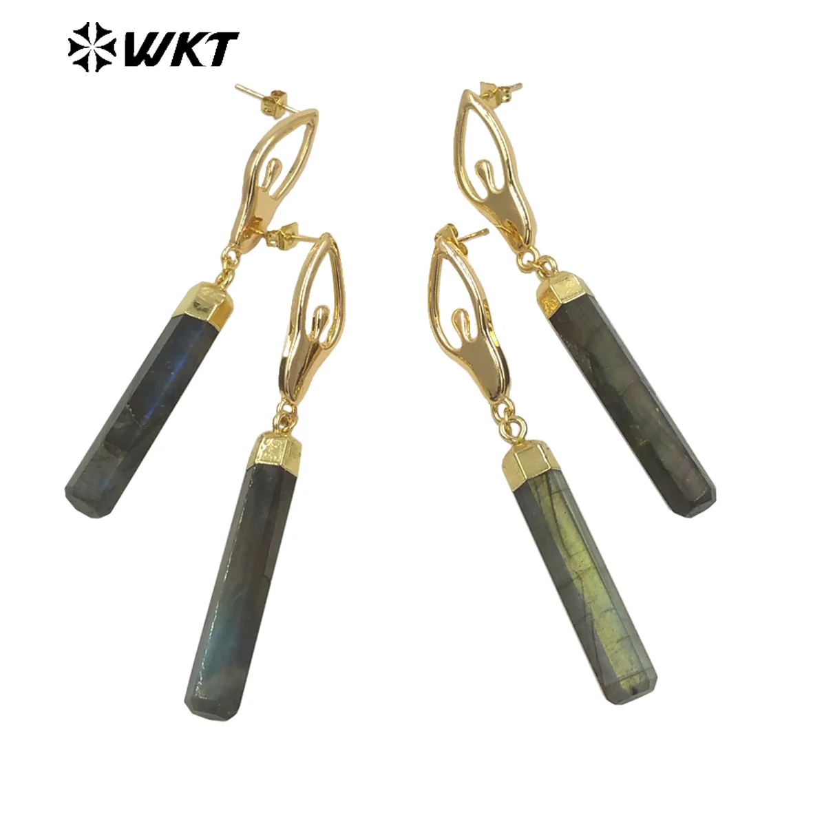 Модные цилиндрические серьги из Лабрадорита WT-E665 WKT, серьги из натурального камня, блестящие женские ювелирные изделия, аксессуары