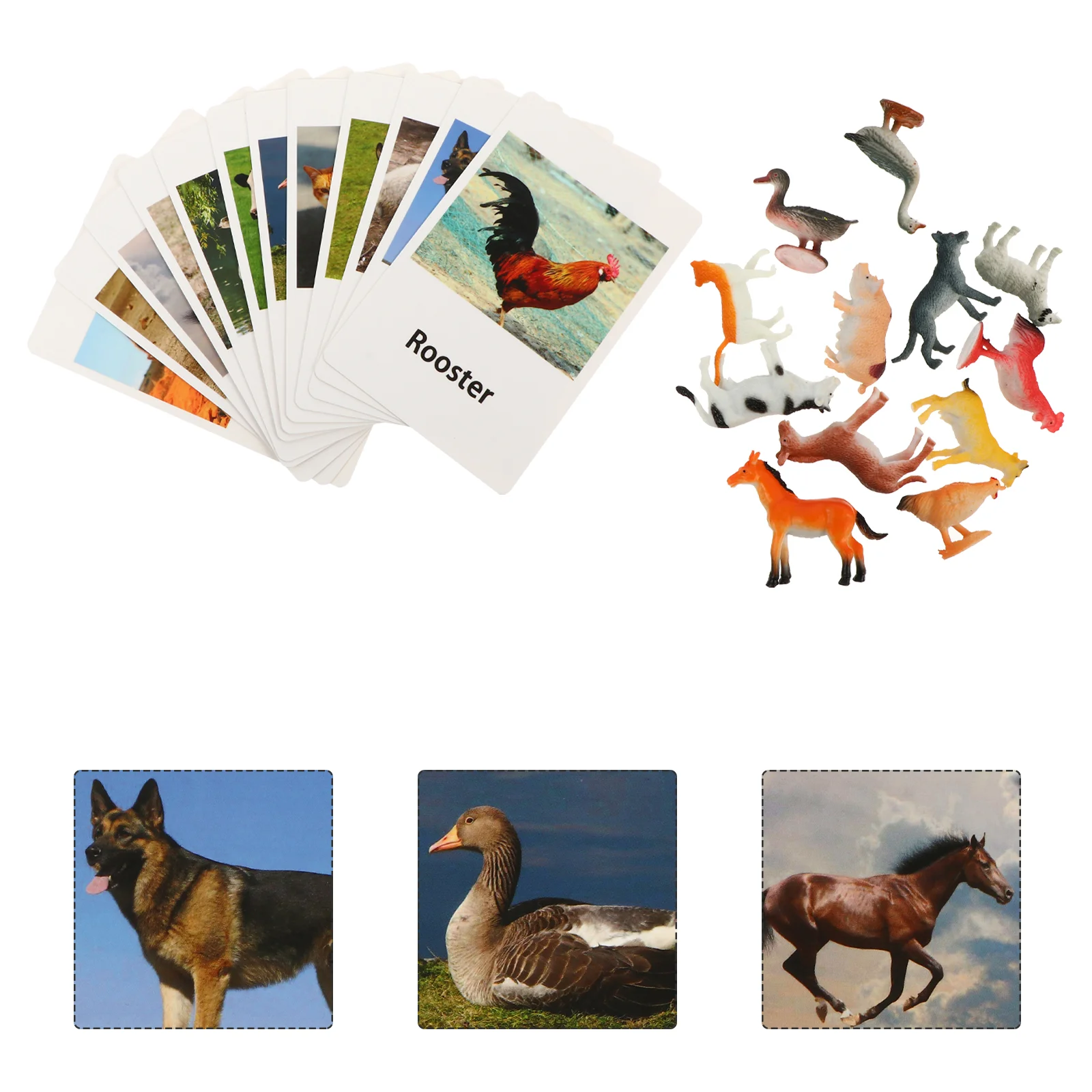 

1 Набор, Обучающие карты-модели животных