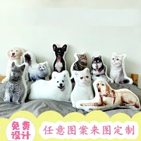 pet pillow custom single and double sided nordic diy sofa pillow special shaped cushion cushion cat and dog photo doll logo