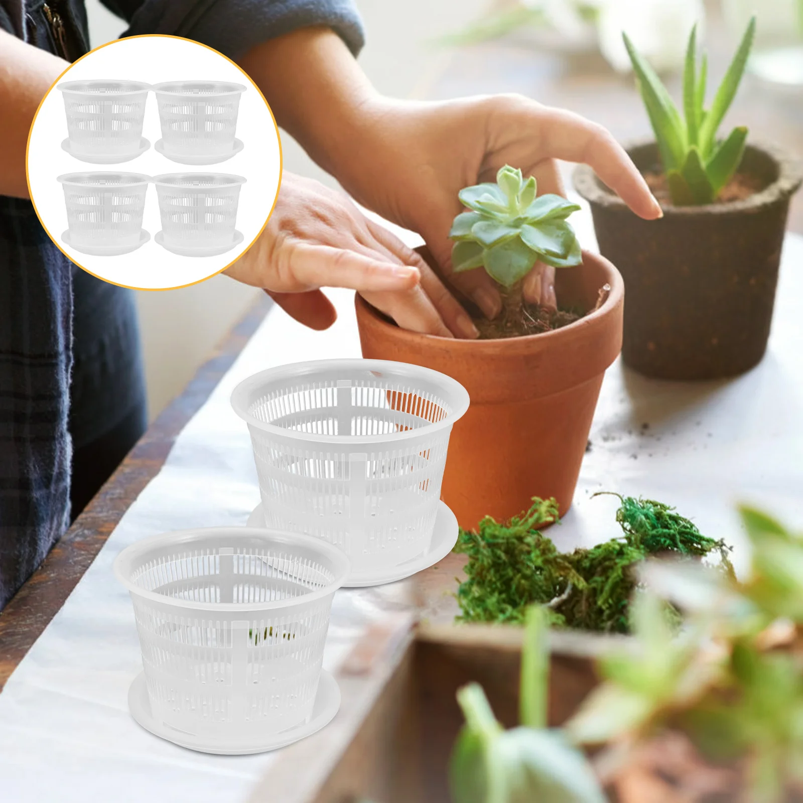 

Pot Orchid Pots Flower Nursery Planter Clear Hanging Gallon Tall Planters Control Indoor Outdoor Slotted Garden Flowerpots