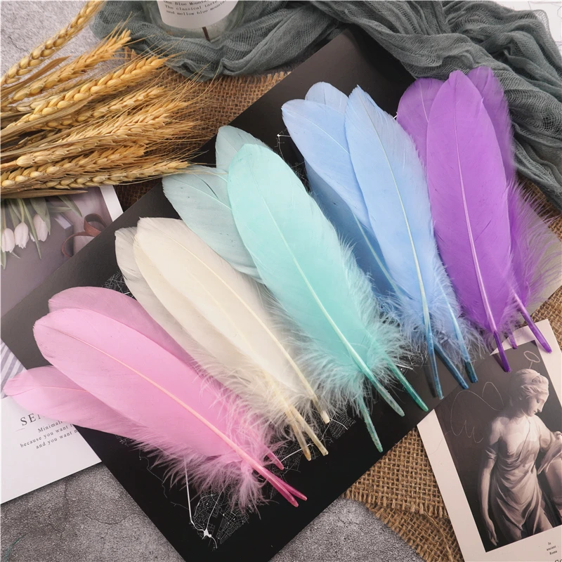 

Wholesale 15-20cm Hard Stick Goose Feathers Natural Swan Pluma Handicraft Accessories Colorful Dream Catcher Feather Decoration