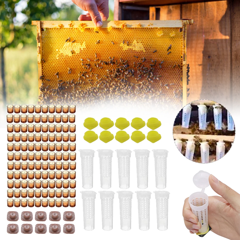 

1 Set Bees Tools Cages King Queen Rearing Cupkit System Bee Beekeeping Catcher Box Cell Cups Cage Nicot Complete Kit Apicultura