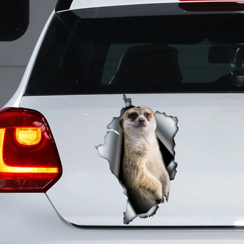 

Meerkat car decal , meerkat magnet, meerkat sticker