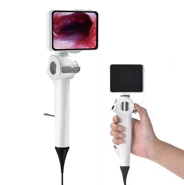 

Factory Price Ultra-clear Animal Endoscopy for Pet Clinic Hospital Flexible Video Veterinary Endoscope