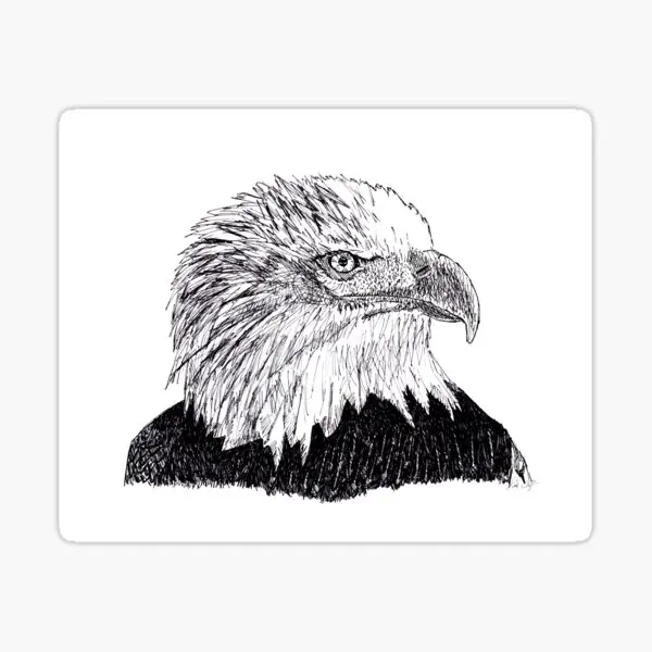 

Автомобильная наклейка Eagle для склеивания 17 см e1