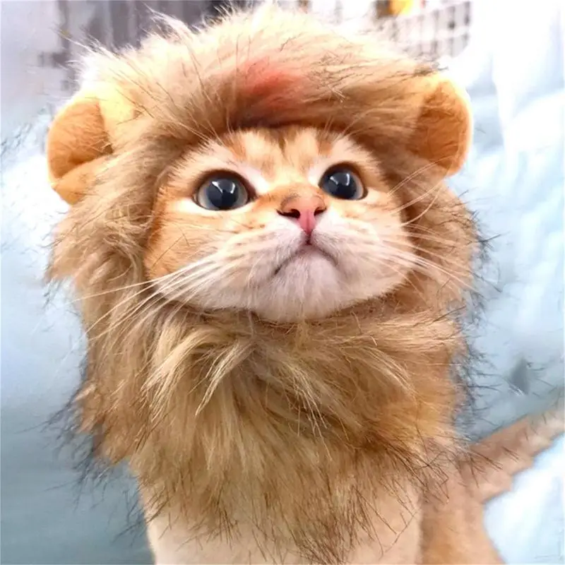 Pets Cat Wig Cute Lion Mane Funny Clothes Party Cosplay Costume Kitten Puppy Hat With Ears Decor Accessories Pet Supplies