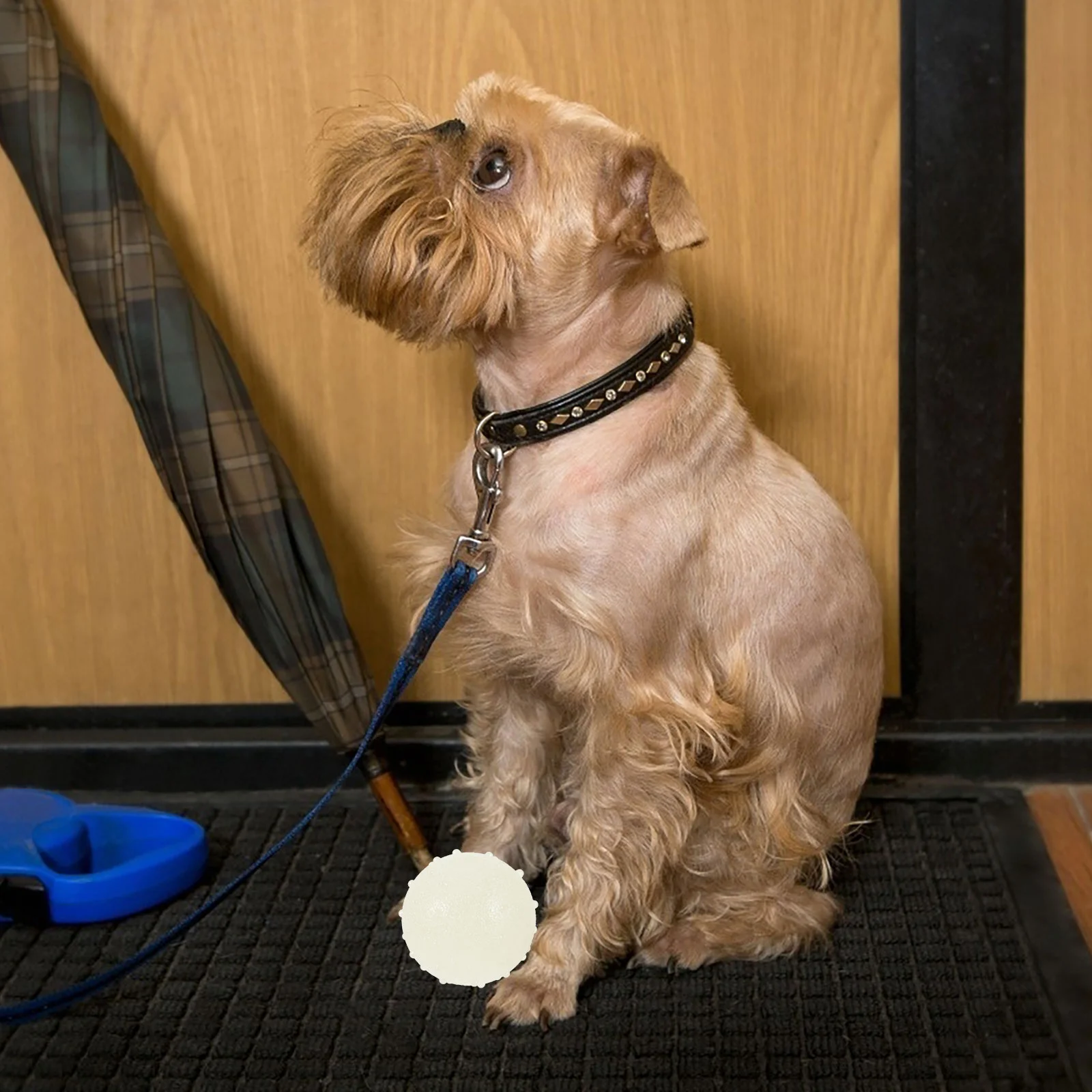 2 шт. светящийся резиновый шарик маленькие скрипучие игрушки для собак