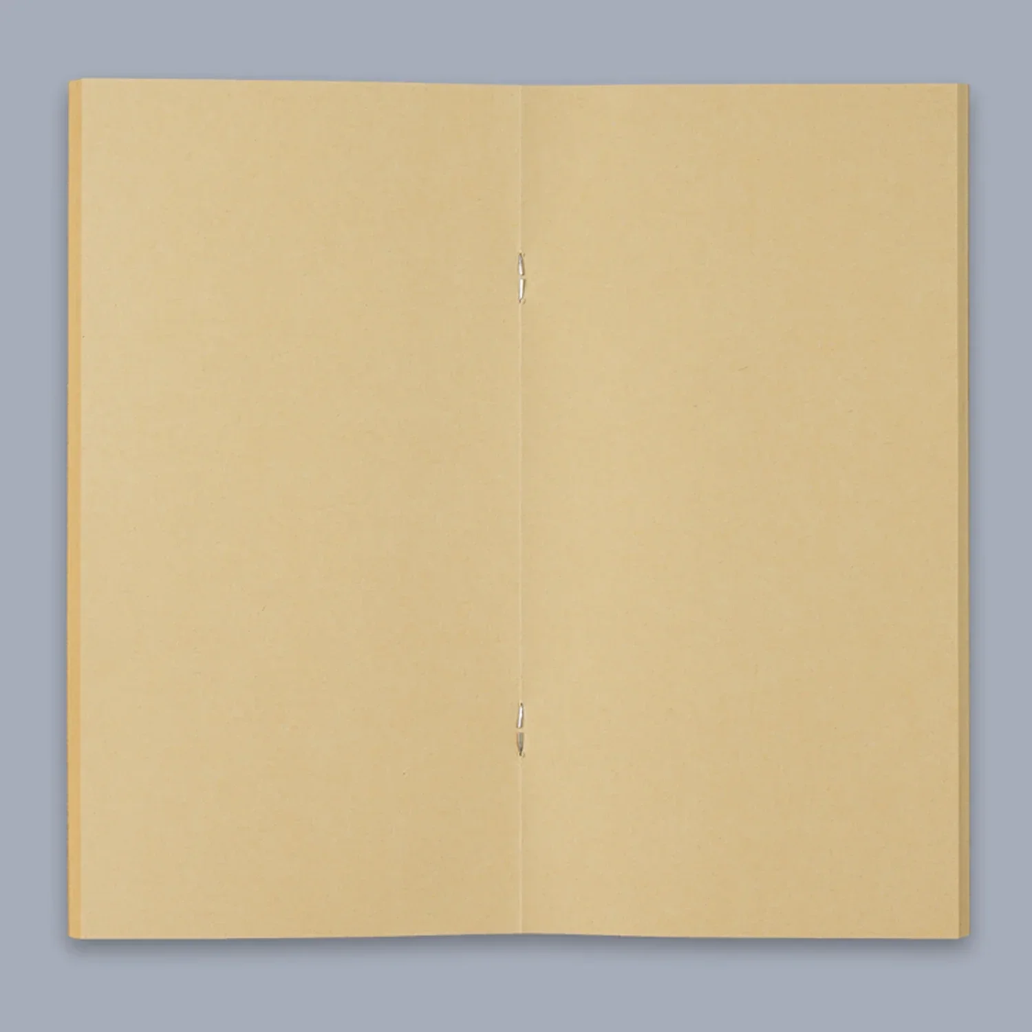 

Сменные вставки для ноутбуков AIGUONIU Traveler, замена внутреннего сердечника, набор из 3 шт.