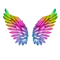 colorful angel wings thermo stickers on clothes heat transfer appliques iron on angel patches for clothing custom patch stripe
