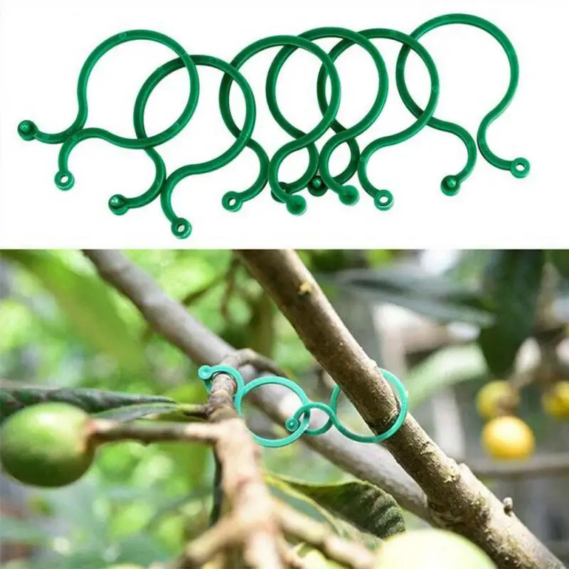 

Vine Strapping Clips Plant Bundled Ring Holder 50Pcs Plant Buckle Hook Plastic Vine Supports Connects Tomato Plant Stand Tools