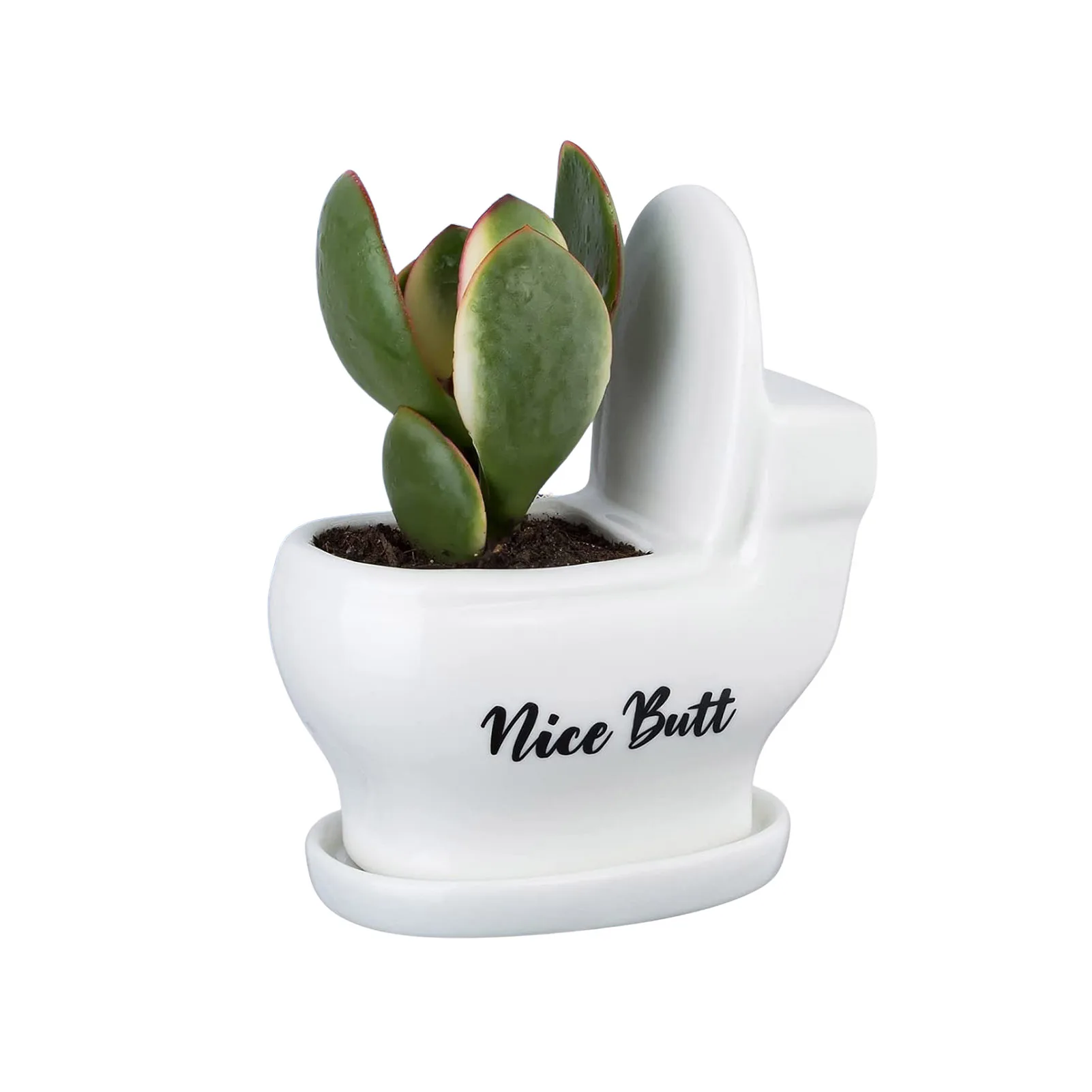 

Цветочный горшок для туалета без растений, керамический складной горшок для туалета, милая фотография, интересное украшение для ванной ком...