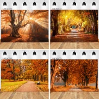 laeacco autumn old tree sunlight scenic photography backgrounds customized photographic backdrops for photo studio