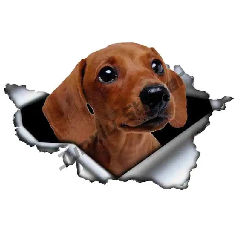 

Creativity Tan Dachshund Animal Car Sticker Torn Metal Decal Stickers Waterproof Car Styling Pet Dog Decals KK13*9cm