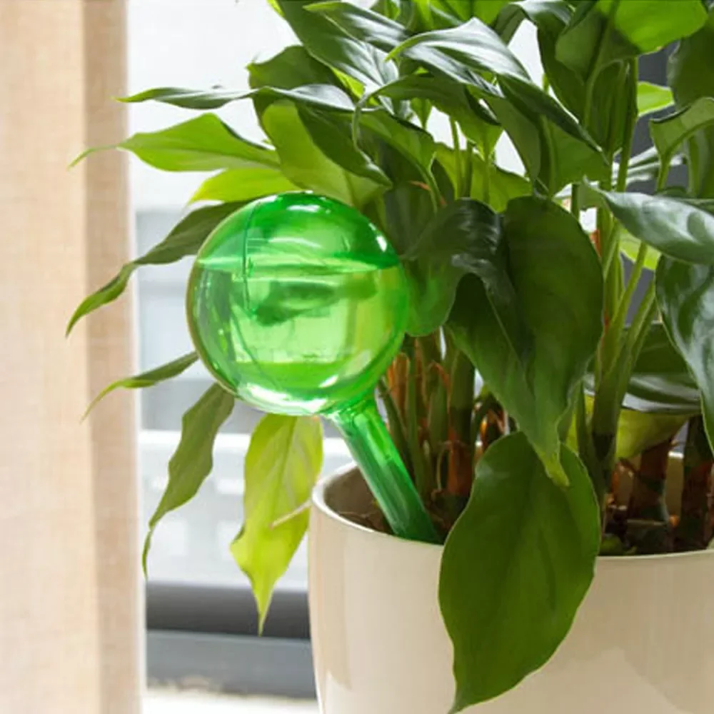 

Pcs Plant Watering Bulb Self Watering Device Automatic Houseplant Plant Pot Bulb Globe Garden Watering System for Plant