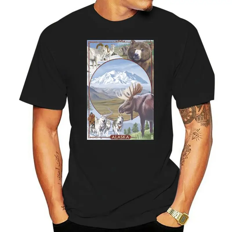 

Denali National Park Alaska - Park Views (Premium T-Shirt)