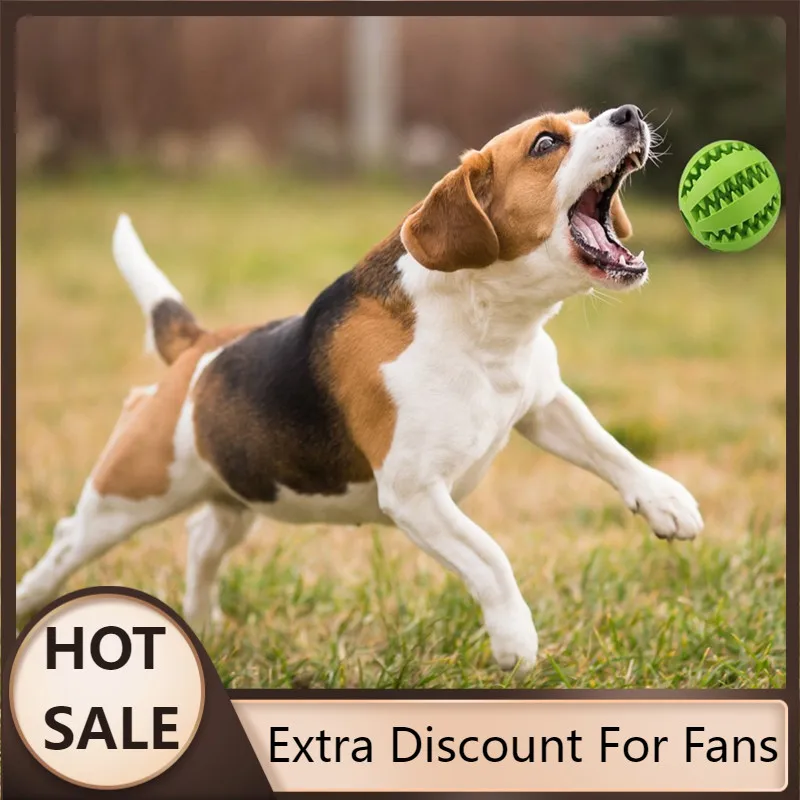 

Hot Sale Pet Dog Toy Funny Interactive Elasticity Ball Dog Chew Toy For Dog Tooth Clean Ball Of Food Extra-tough Rubber Ball