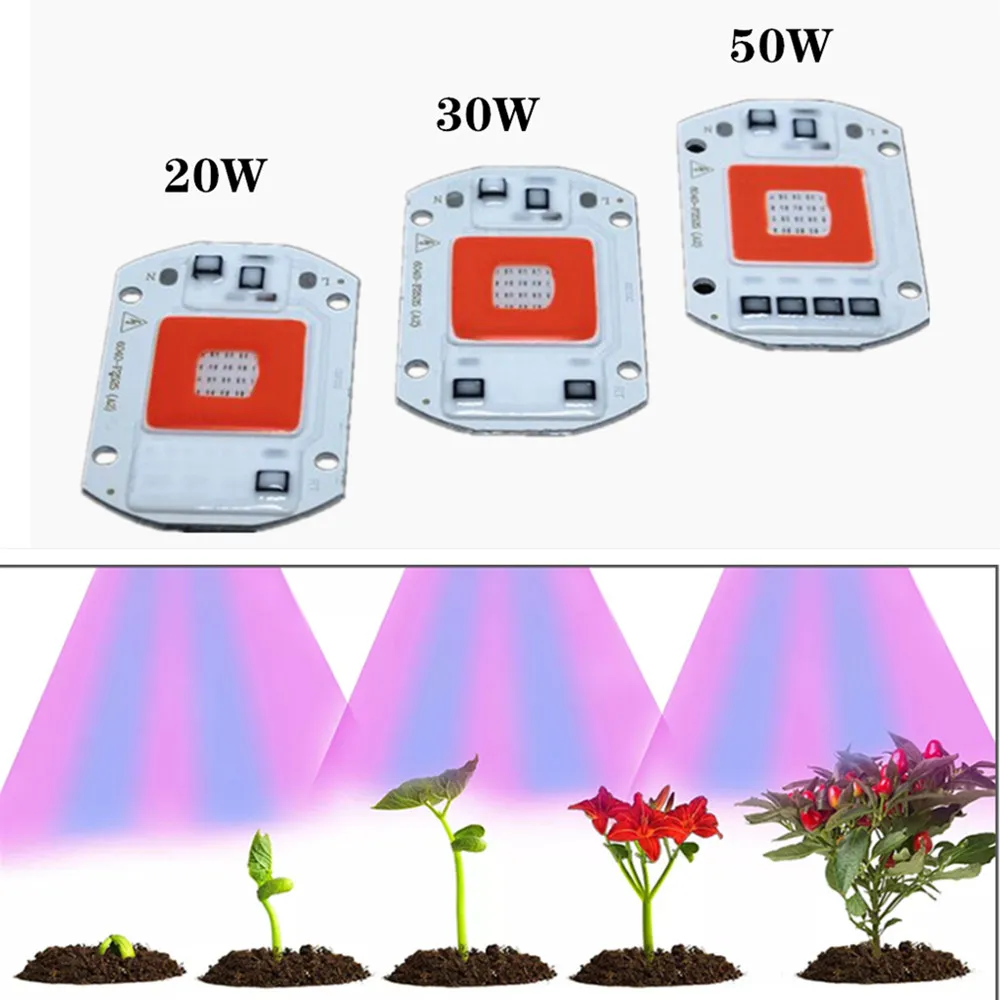 

Full Spectrum COB LED Grow Light Lamp Chip50W 30W 20W 220V 110V Grow Led Chip For Plants Greenhouse Grow Tent