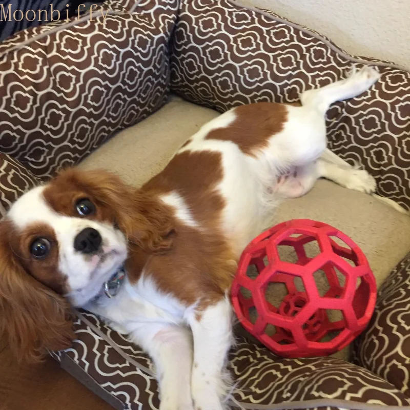 

Резиновый мяч, жевательная игрушка для собак, натуральный пазл для собак, геометрические безопасные игрушки, мяч для маленьких, средних и больших собак, товары для дрессировки домашних животных