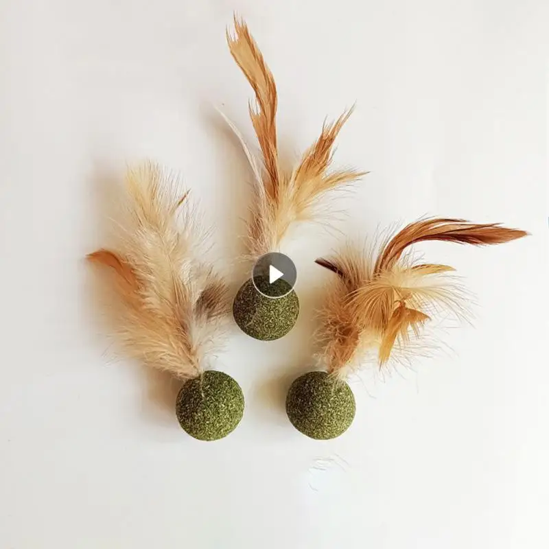 

Cat Ball Teeth Cleaning Cat Snack Healthy Cat Mint Cat Feather Toy Household Chasing Game Cat Toy Catnip Ball Catnip Cat Molar