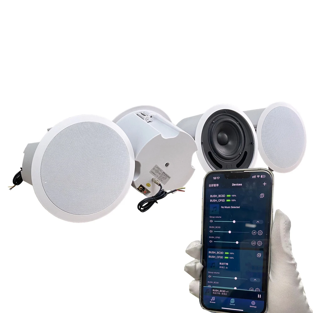 Мобильное приложение MUZO WIIM TUYA Control WIFI