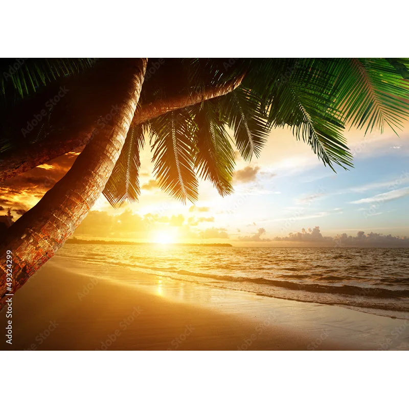 Фон для фотосъемки с изображением тропического моря