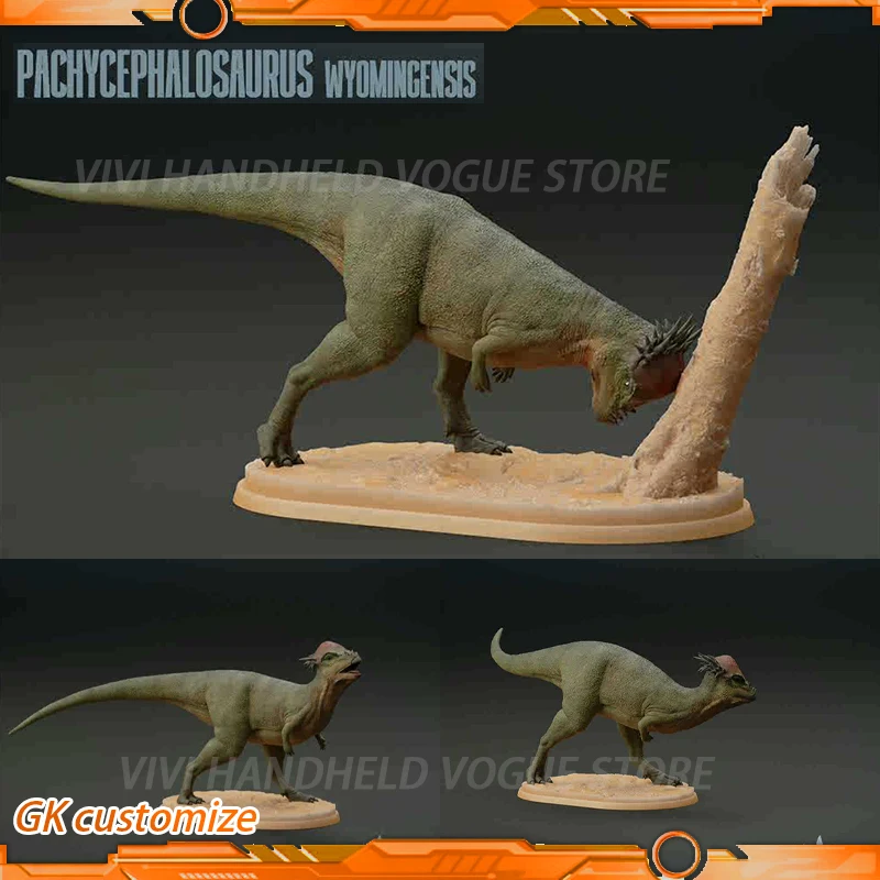 

1/35 12.5cm PACHYCEPHALOSAURUS WYOMINGENSIS Model Toy Ancient Extinct Life Dinosaur Model Gk Customize Stygimoloch