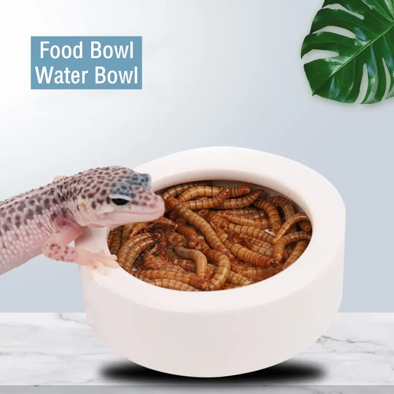 

Кормушка для рептилий Water Bowl Ящерица Геккон керамическая миска для домашних животных Anti-Escape миска для домашних животных товары для питомцев...