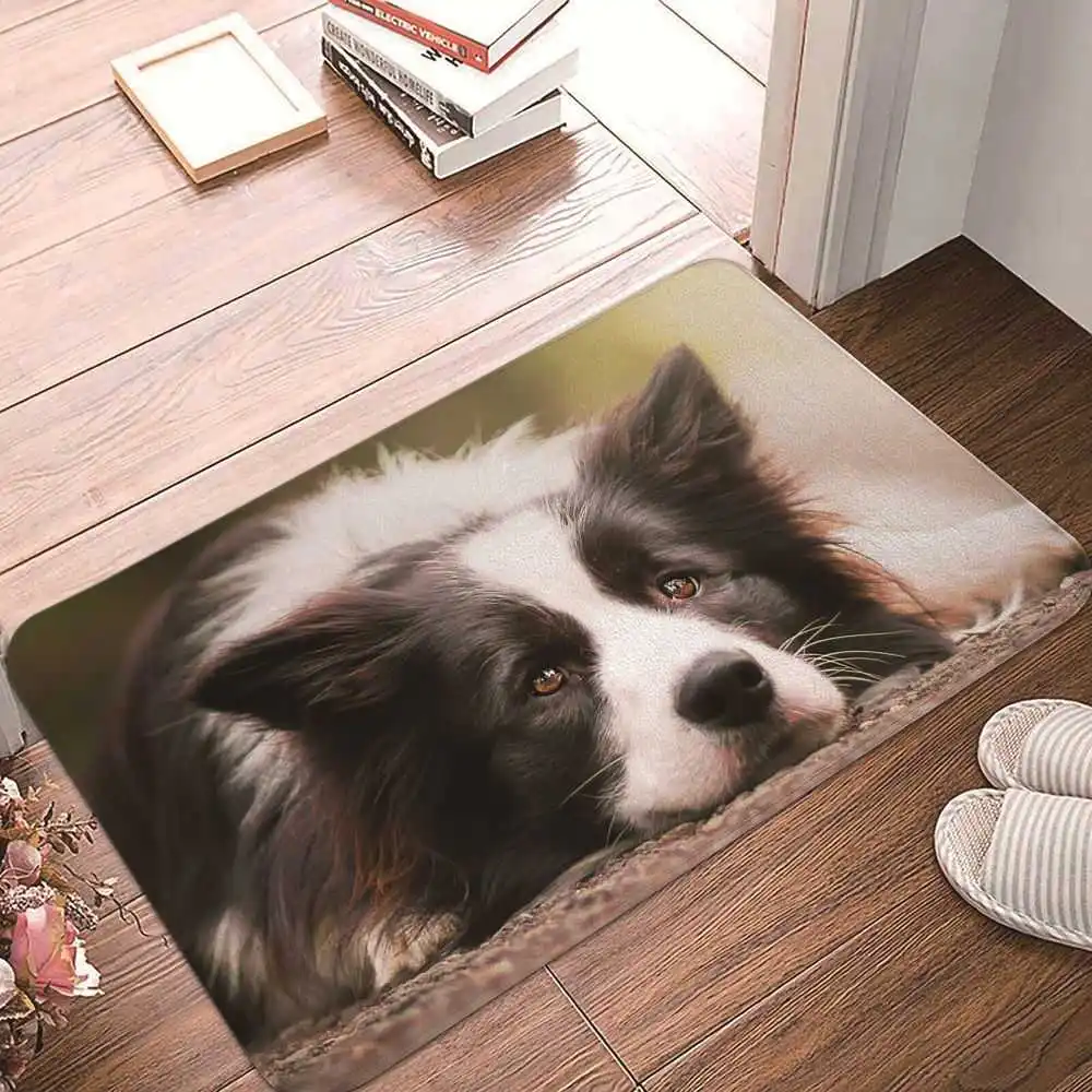 

3D цифровой напольный коврик Lovly Dog, коврики для гостиной и спальни, противоскользящие моющиеся коврики для входа, домашний декор