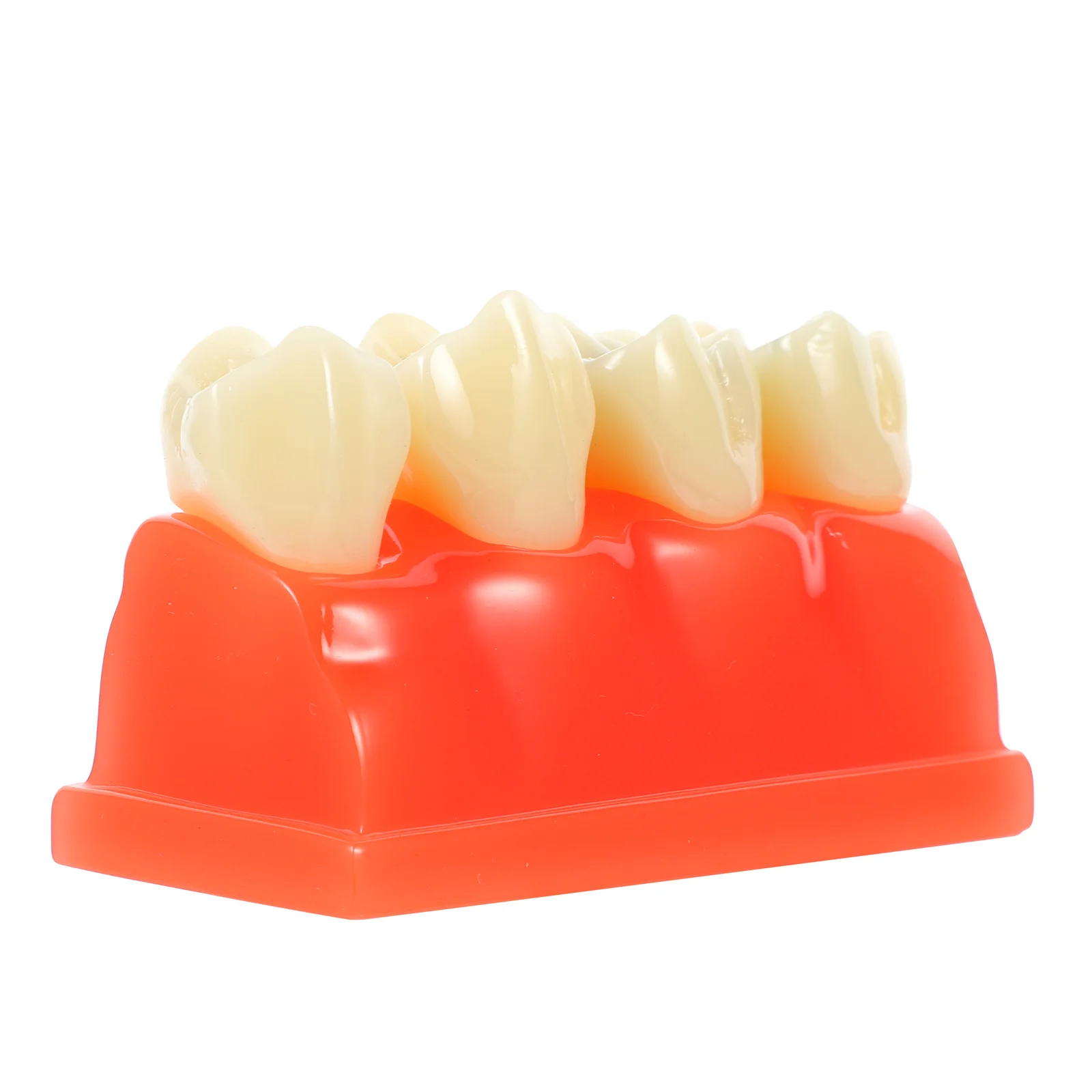 

1pc Teeth Models Safe Good Nice Light Model Caries Teeth Teaching Aids for Dentist