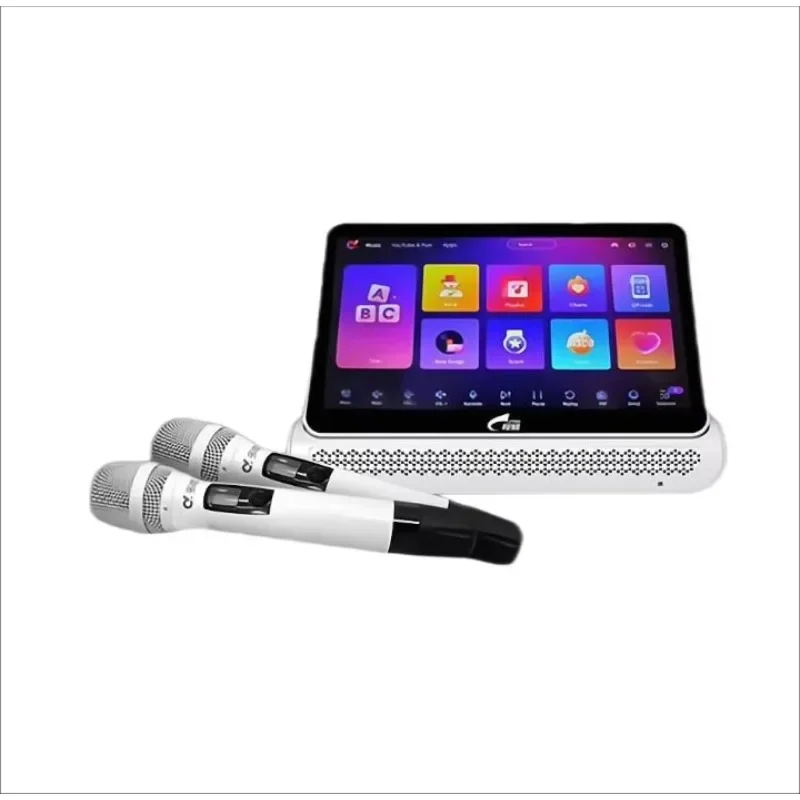 Профессиональный караоке-плеер Berase Hifi сенсорный экран 600 Вт * 2 13 3 дюйма 6 в 1