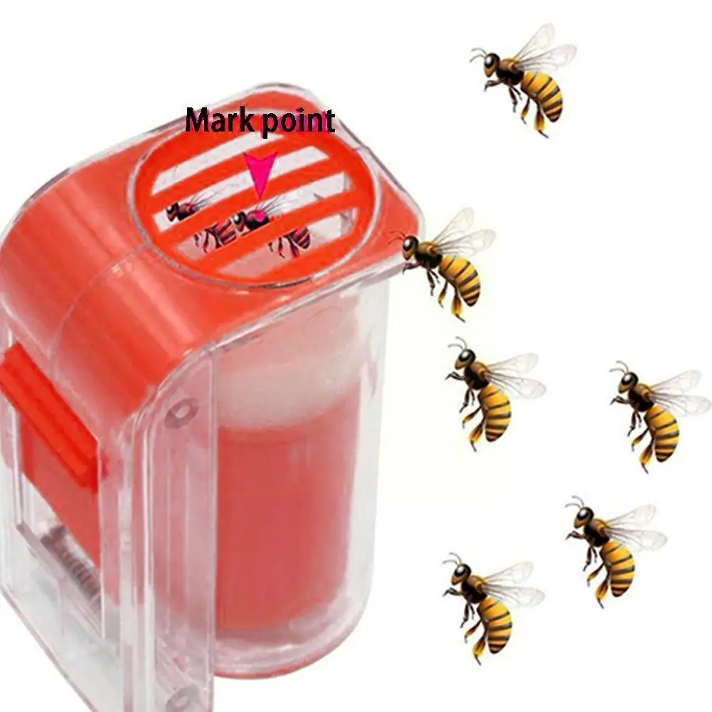 

Bee Marking Tool Kits Marker Bottle With Marking Pens Queen Marking Tool Beekeeper Equipment Bee King Bee Catcher Equipment K3i8