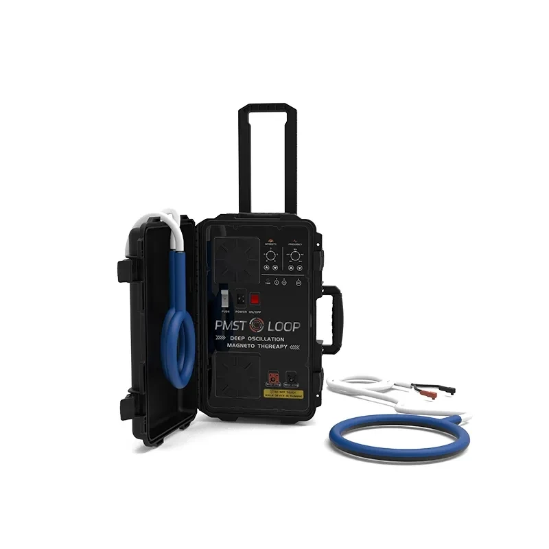 

Horses PEMF Pulse Electromagnetic Therapy PMST Machine with Single and Butterfly Loop for Animals Treatment