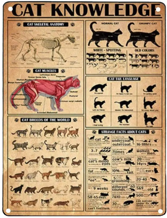 

Металлические знаки в стиле ретро, забавные знания о кошке, жестяной знак без рамки, настенное искусство в виде кошек, руководство о кошках, ...