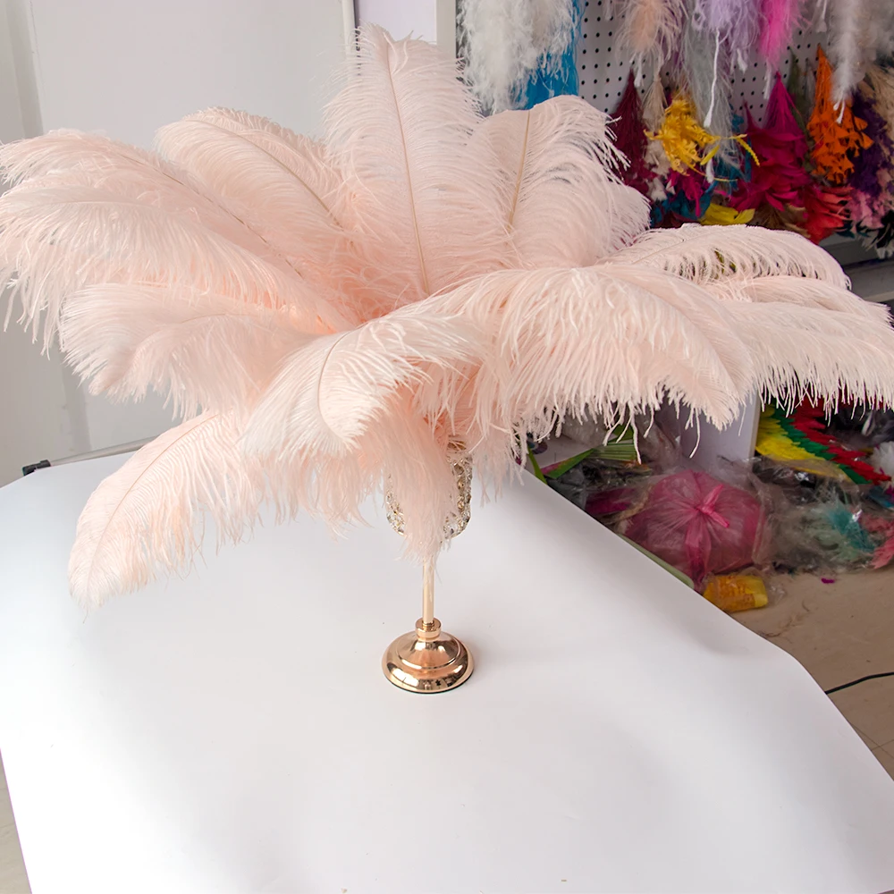 

Natural 10pcs Pink Ostrich Feather Wedding Home Carnival Party 15-35cm Fluffy Ostrich Plumes Table Centerpiece Crafts Decoration