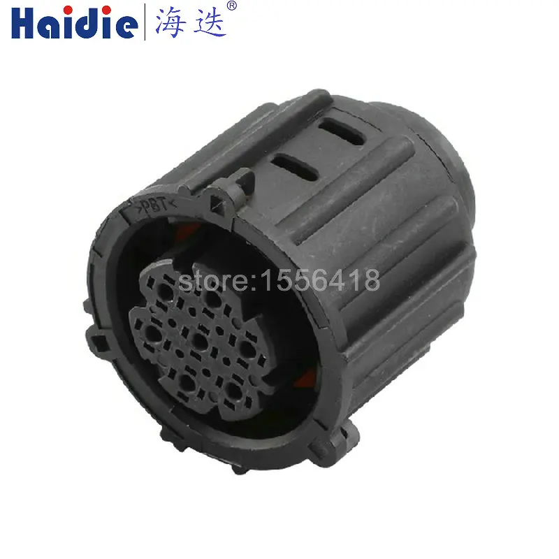 

1 Set 6 Pins automotive connector 17019.062.000