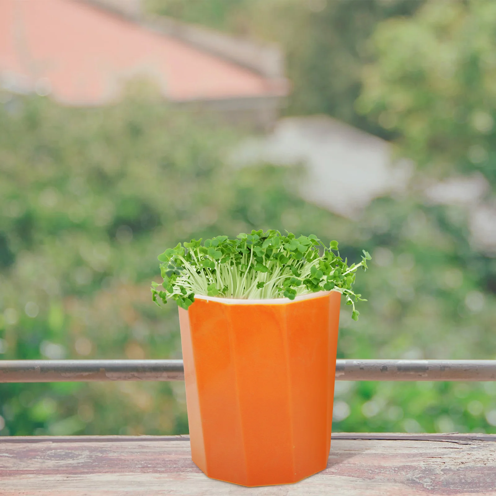 Зернистость для выращивания зернистость |