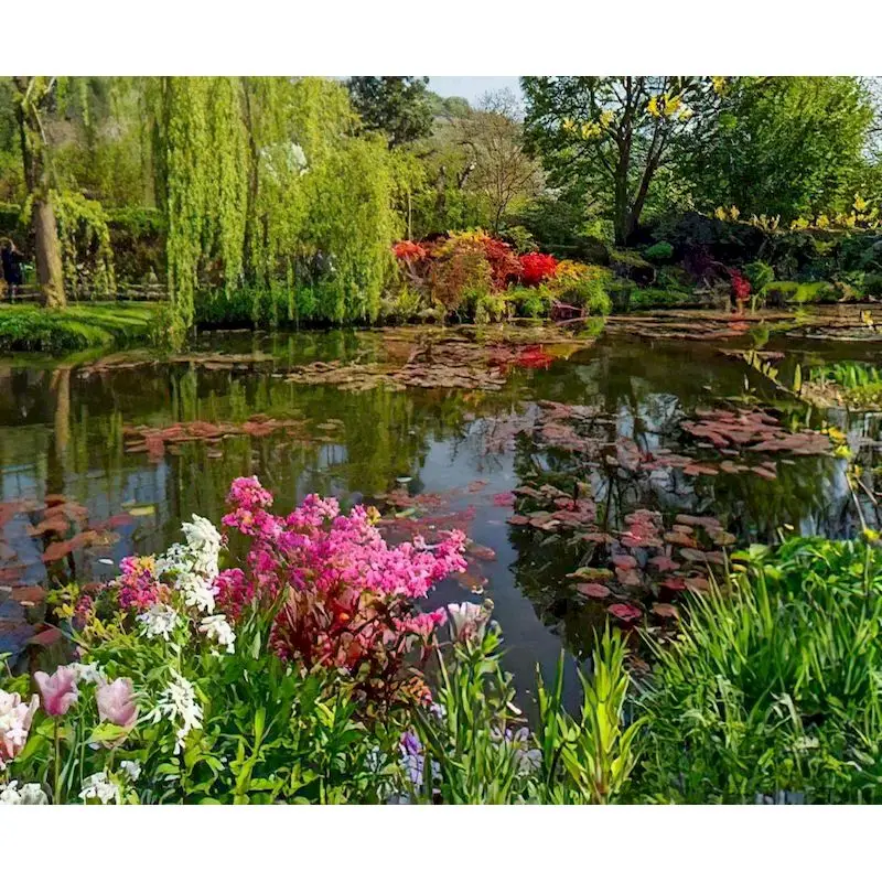 

GATYZTORY Diy Painting By Numbers For Adults Pond Scenery Pictures By Numbers Kits Handpainted Gift Wall Decor 60×75cm Frame