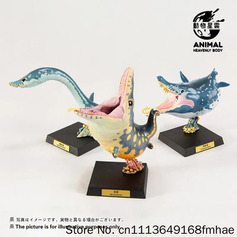 Фото Модель бюста мозазавра Animal Heavenly Body, серия «Палеонтология доисторических морских рептилий», пятая серия, для взрослых коллекционеров, подарок №5