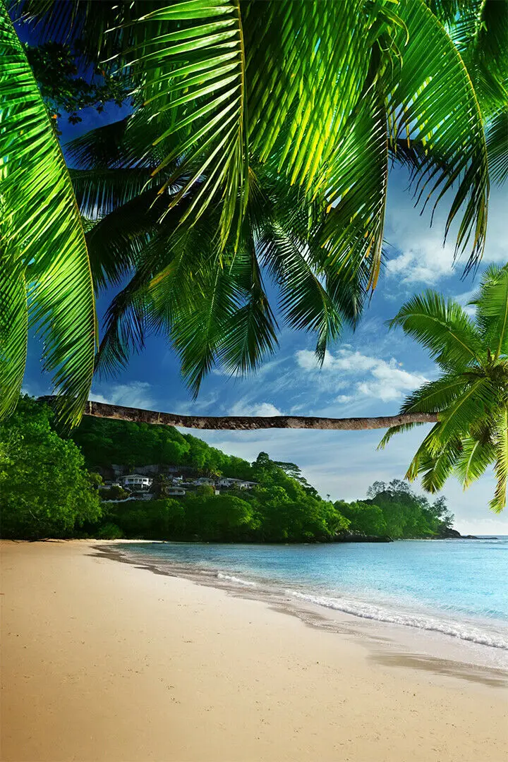 

Tropical Sea Beach Scenery Art Picture Print Silk Poster Home Wall Decor