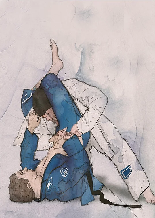 

Печать на холсте "Бразильское джиу-джитсу", современный стиль