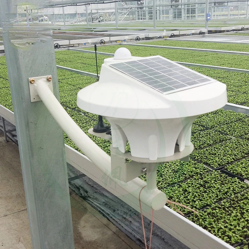 

Intelligent Temperature Control Plastic Film Greenhouse,Hydroponic Systems,Hydroponic Lettuce Seeds