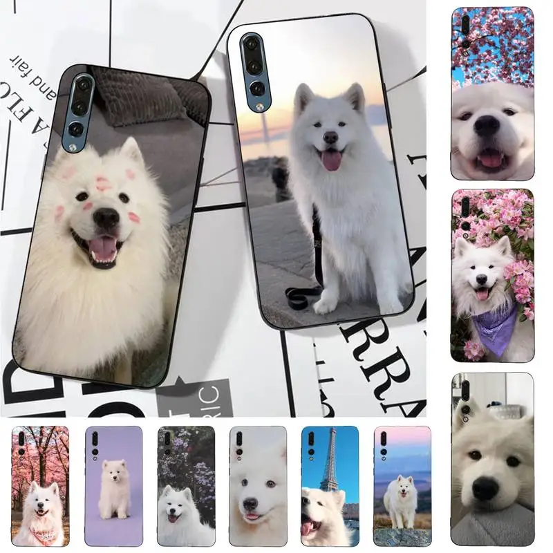 

Lovely Samoyed dog Phone Case for Huawei P30 40 20 10 8 9 lite pro plus Psmart2019