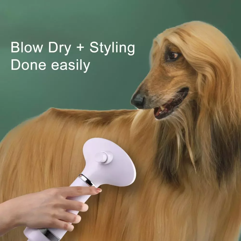 

2023NEW Pet Hair Dryer Multi-purpose Low Noise Good Water Absorption Adjustable Temperatures Dog Grooming Comb Fur Blower for Do
