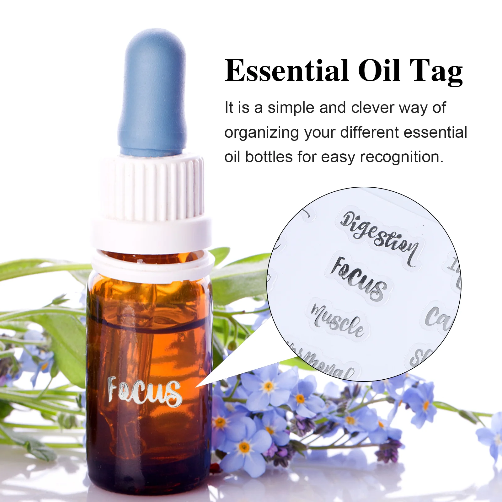 Рисунок 3 - 10 листов, этикетки для Хранения