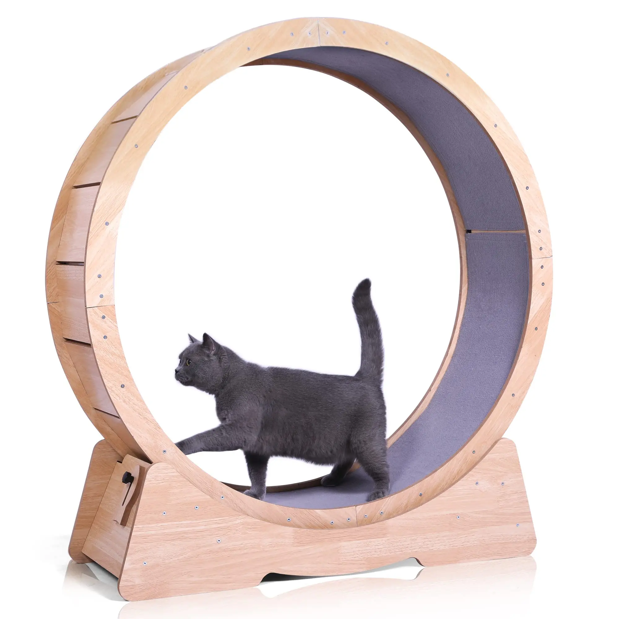 Пользовательская круглая дорожка для больших кошек, комнатный колесный  погрузчик для кошек, беговая дорожка для упражнений для кошек, беговые  игрушки для кошек | AliExpress